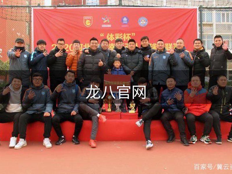 公司实力